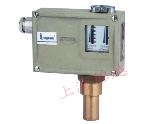 防爆壓力控制器  D505/7D、D505/7DK